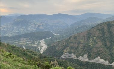 VENTA DE FINCA EN VENECIA SUROESTE DE ANTIOQUIA UNIDAD CERRADA