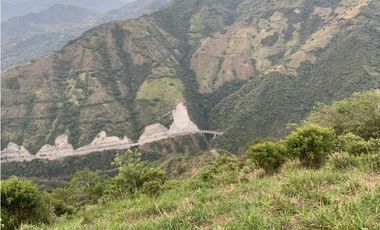 VENTA DE FINCA EN VENECIA SUROESTE DE ANTIOQUIA UNIDAD CERRADA