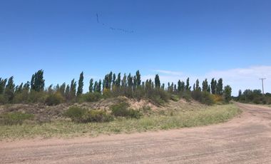 Finca en venta - 4 Dormitorios 2 Baños - Mendoza