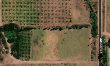 Finca en venta - 4 Dormitorios 2 Baños - Mendoza