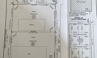 Finca en venta - 4 Dormitorios 2 Baños - Mendoza