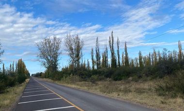 Finca en venta - 4 Dormitorios 2 Baños - Mendoza