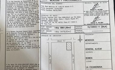 Finca en venta - 4 Dormitorios 2 Baños - Mendoza