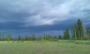 Finca en venta - 4 Dormitorios 2 Baños - Mendoza