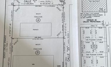 Finca en venta - 4 Dormitorios 2 Baños - Mendoza
