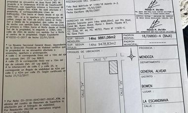 Finca en venta - 4 Dormitorios 2 Baños - Mendoza
