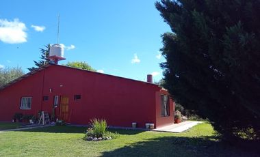 Finca en venta - 4 Dormitorios 2 Baños - Mendoza