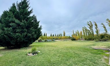 Finca en venta - 4 Dormitorios 2 Baños - Mendoza