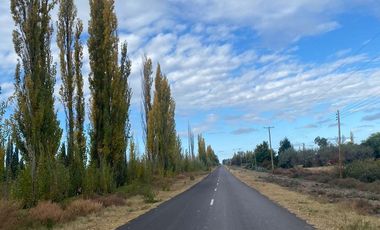 Finca en venta - 4 Dormitorios 2 Baños - Mendoza