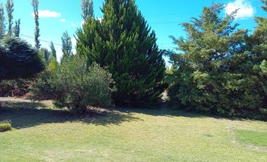 Finca en venta - 4 Dormitorios 2 Baños - Mendoza