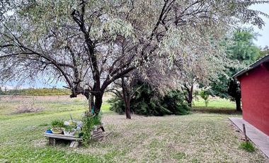 Finca en venta - 4 Dormitorios 2 Baños - Mendoza