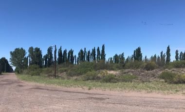 Finca en venta - 4 Dormitorios 2 Baños - Mendoza