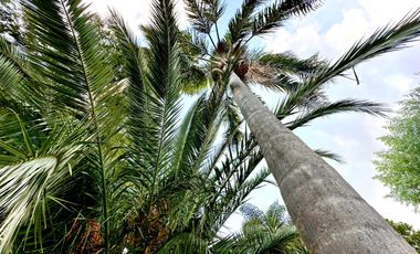 CASA QUINTA EN EL TRÉBOL - EZEIZA