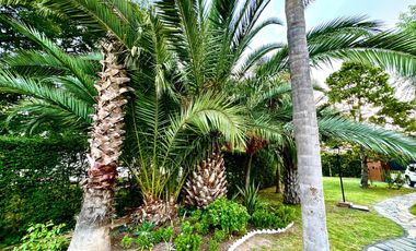 CASA QUINTA EN EL TRÉBOL - EZEIZA