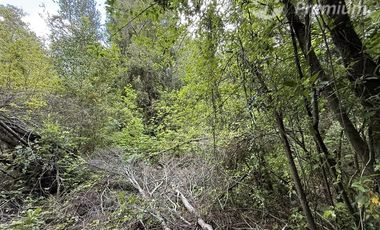 Agrícola en Venta en Sector Chucauco el Canelo Viejo Villarrica