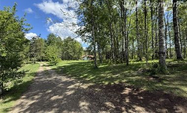 Agrícola en Venta en Sector Chucauco el Canelo Viejo Villarrica