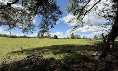 Agrícola en Venta en Sector Chucauco el Canelo Viejo Villarrica