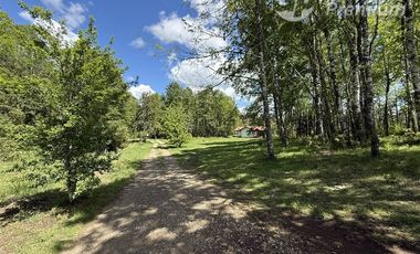 Agrícola en Venta en Sector Chucauco el Canelo Viejo Villarrica