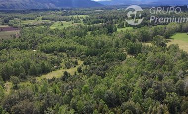 Agrícola en Venta en Sector Chucauco el Canelo Viejo Villarrica