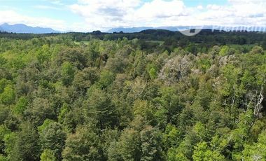Agrícola en Venta en Sector Chucauco el Canelo Viejo Villarrica