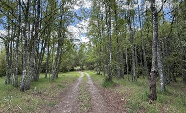Agrícola en Venta en Sector Chucauco el Canelo Viejo Villarrica