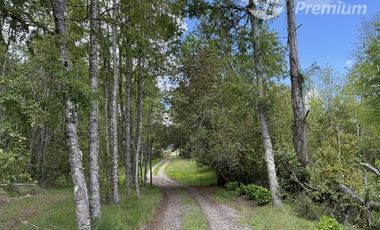 Agrícola en Venta en Sector Chucauco el Canelo Viejo Villarrica