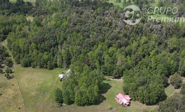 Agrícola en Venta en Sector Chucauco el Canelo Viejo Villarrica