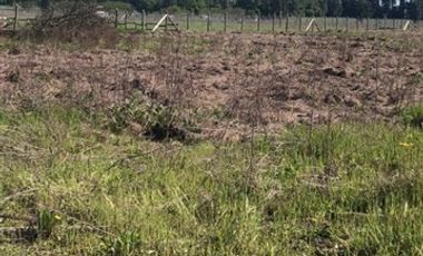 Parcela en Venta en 20 KM CAMINO A ANTUCO SECTOR DIUTO