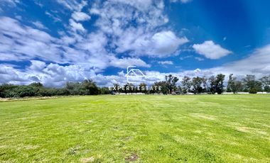 Terreno venta TEOLOYUCAN - 4.33 hectáreas con súper ubicación / Super location