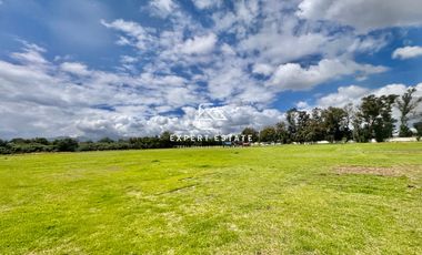 Terreno venta TEOLOYUCAN - 4.33 hectáreas con súper ubicación / Super location