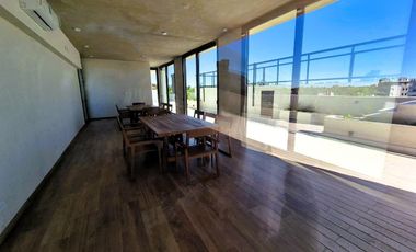 Departamento - Vivant Tortugas