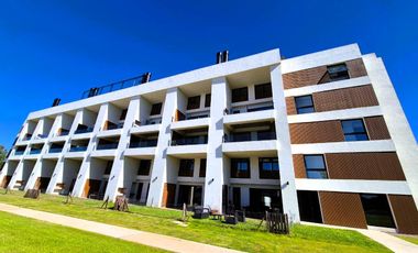 Departamento - Vivant Tortugas