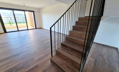 Departamento - Vivant Tortugas