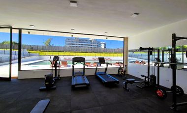 Departamento - Vivant Tortugas