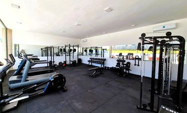 Departamento - Vivant Tortugas