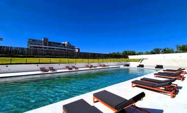 Departamento - Vivant Tortugas