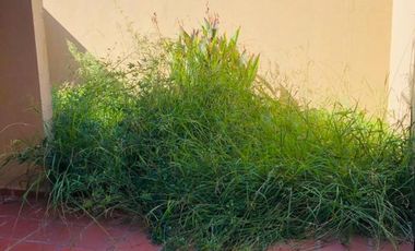 Departamento - Hurlingham