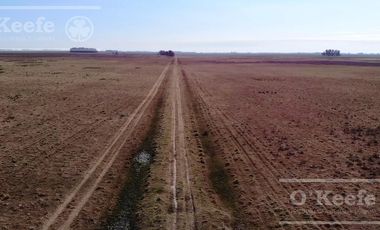 Campo Ganadero 800 Has.  en venta en Saladillo, La Campana