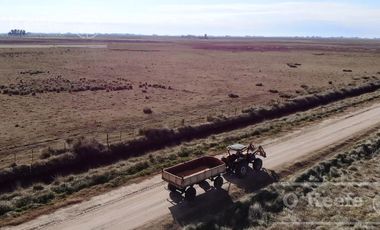 Campo Ganadero 800 Has.  en venta en Saladillo, La Campana