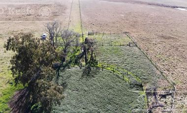 Campo Ganadero 800 Has.  en venta en Saladillo, La Campana