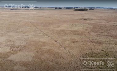 Campo Ganadero 800 Has.  en venta en Saladillo, La Campana