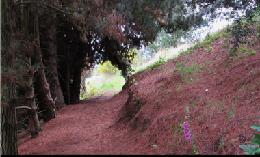 Vendo Espectacular Finca en Tabio Rio Frio Occidental