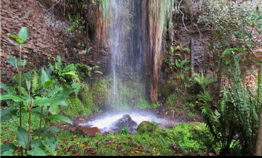 Vendo Espectacular Finca en Tabio Rio Frio Occidental