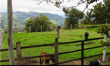 Vendo Espectacular Finca en Tabio Rio Frio Occidental