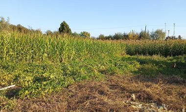 Parcela en venta en LINARES