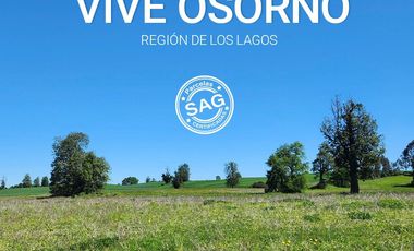 Parcela en venta en OSORNO