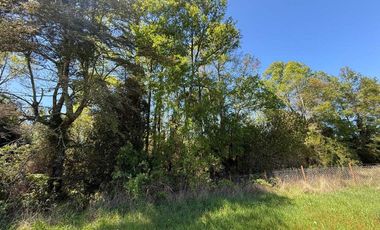 Parcela en venta en FRUTILLAR