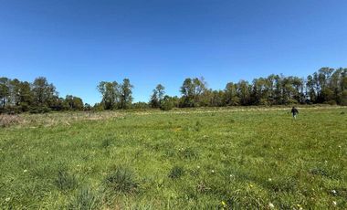 Parcela en venta en FRUTILLAR