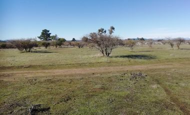 Parcela en venta en CAUQUENES
