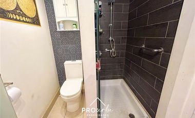 Departamento en Venta en Diagonal Oriente/Antonio Varas